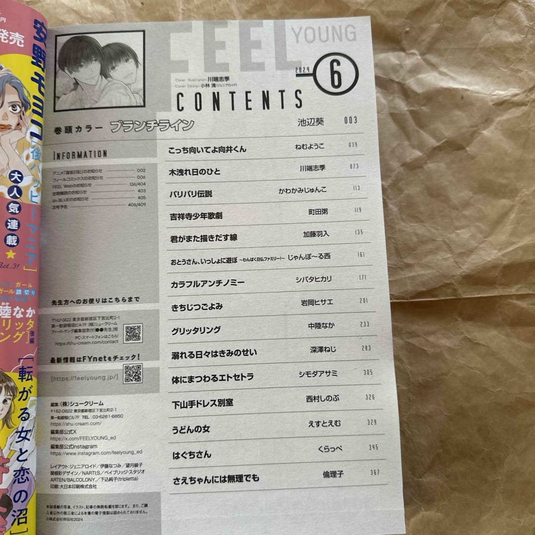 FEEL YOUNG (フィールヤング) 2024年 06月号 専用です‼︎ エンタメ/ホビーの漫画(女性漫画)の商品写真