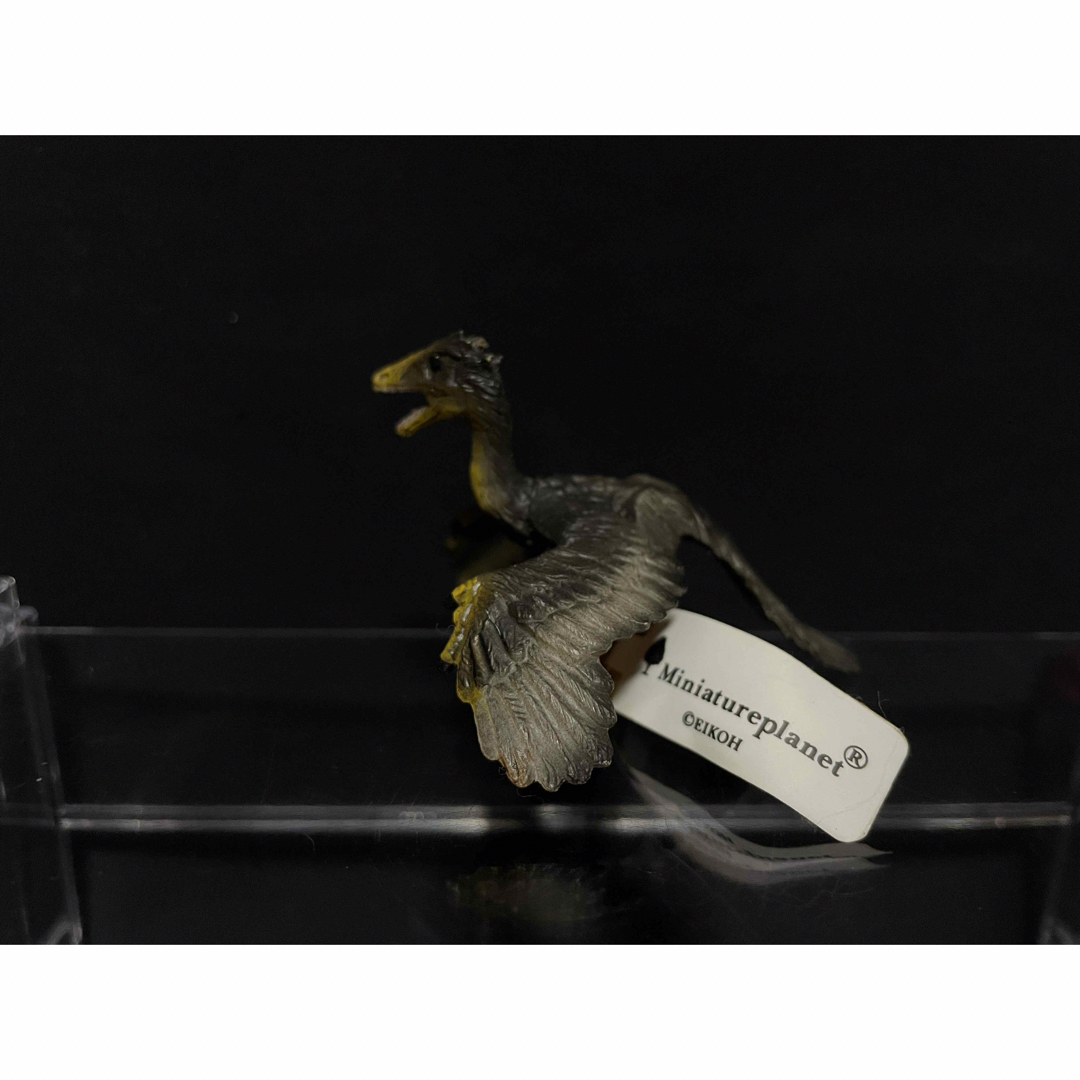恐竜 フィギュア 始祖鳥 ミニチュアプラネット エンタメ/ホビーのフィギュア(その他)の商品写真