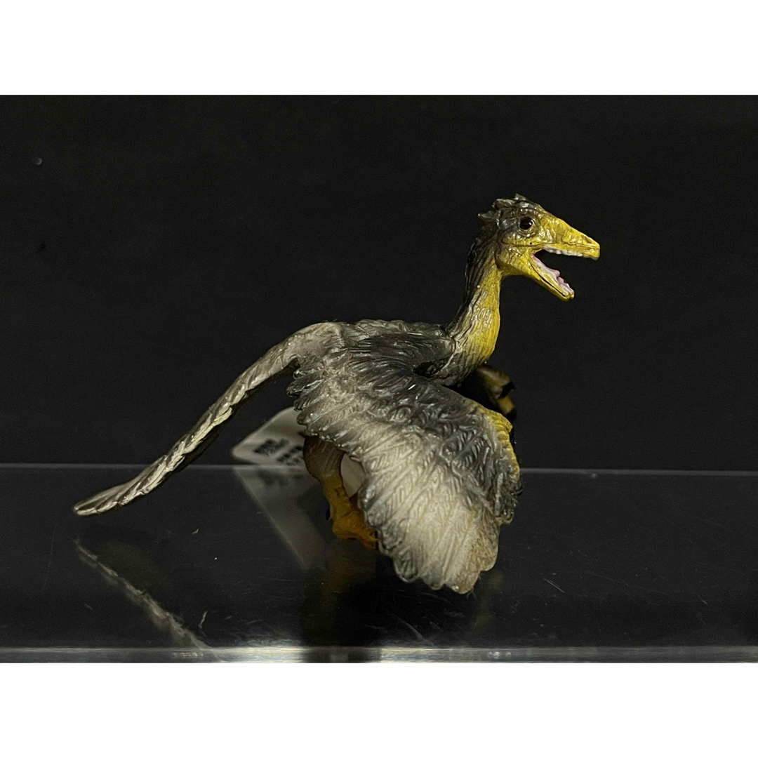 恐竜 フィギュア 始祖鳥 ミニチュアプラネット エンタメ/ホビーのフィギュア(その他)の商品写真