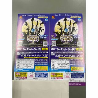 木下大サーカス　広島　6月15日〜9月9日　チケット　2枚1セット(その他)