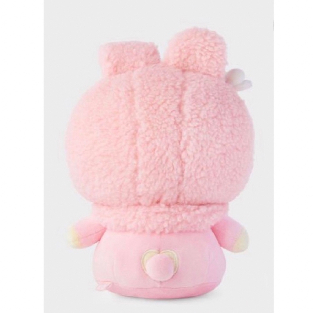 BT21(ビーティーイシビル)のBT21 cooky spring days エンタメ/ホビーのタレントグッズ(アイドルグッズ)の商品写真