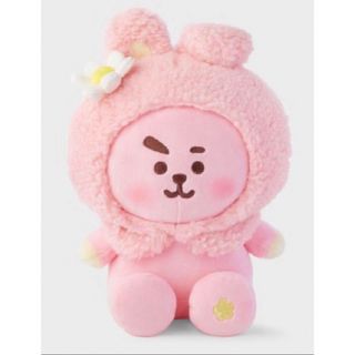 BT21 - BT21 cooky spring days