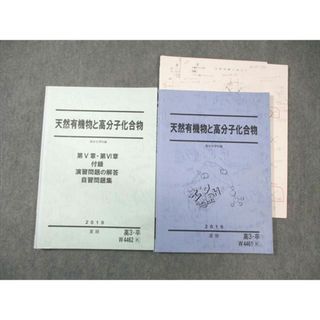 WL02-085 駿台 天然有機物と高分子化合物 化学テキスト/自習問題集 2019 夏期 計2冊 28S0D(語学/参考書)