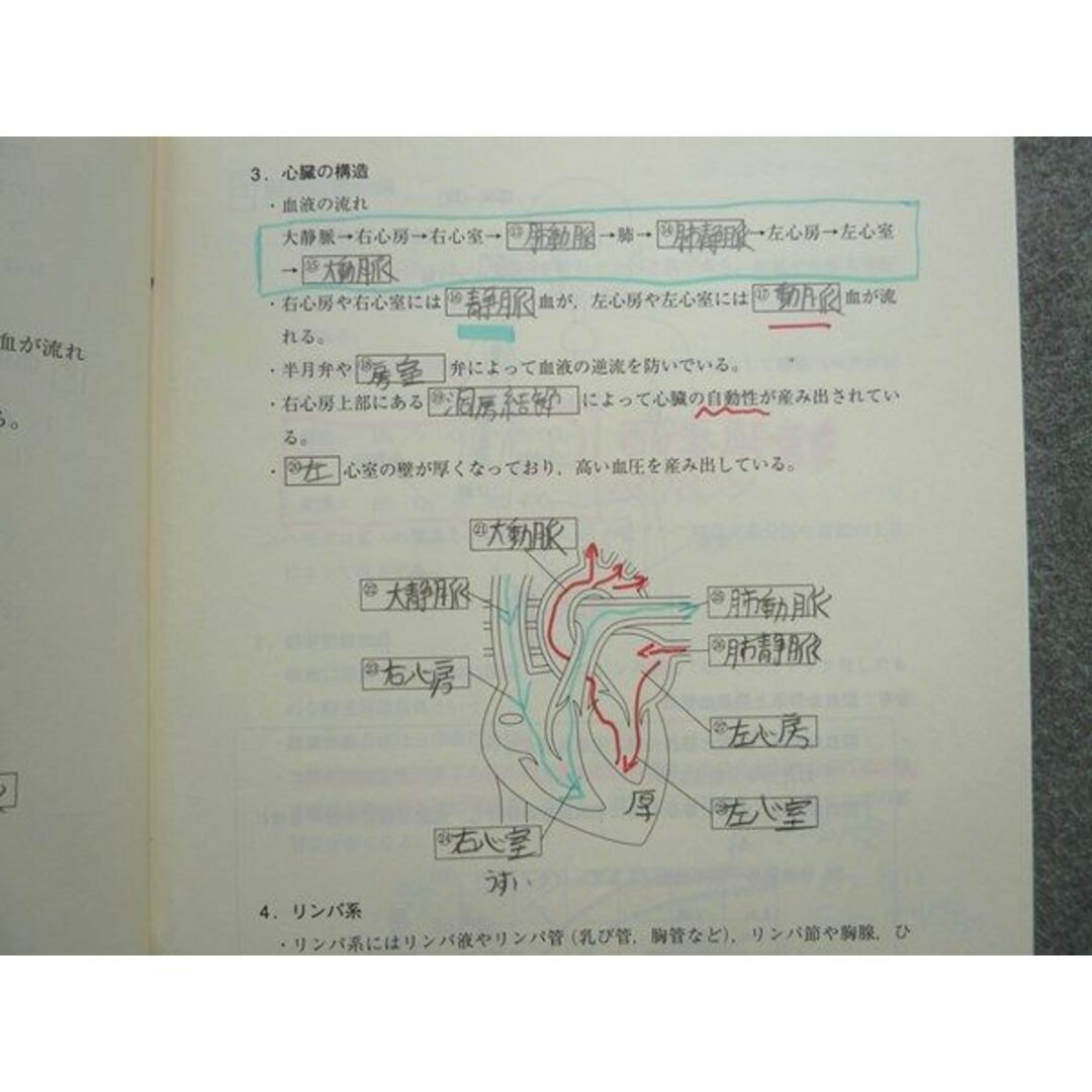 WL72-007 東進 高等学校対応 生物基礎 生物の体内環境の維持/生物と遺伝子/生物の多様性と生態系 2012 計3冊 10  S0B エンタメ/ホビーの本(語学/参考書)の商品写真