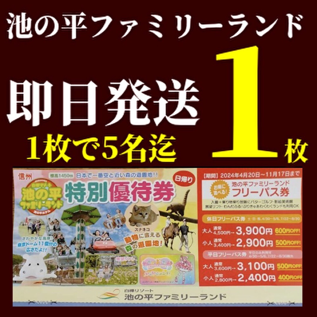 池の平ファミリーランドフリーパス池の平ホテル白樺湖01 チケットの施設利用券(遊園地/テーマパーク)の商品写真