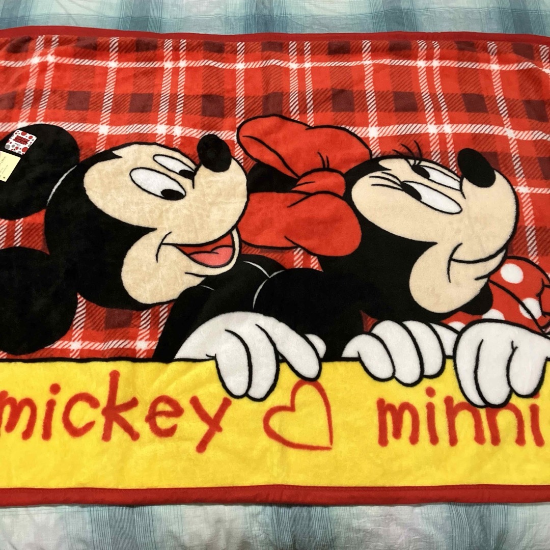 Disney(ディズニー)のディズニー　ハーフケット キッズ/ベビー/マタニティの寝具/家具(毛布)の商品写真