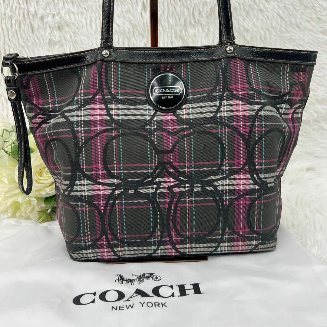 COACH(コーチ)の【美品】COACH コーチ シグネチャー タータンチェック トートバッグ レディースのバッグ(トートバッグ)の商品写真