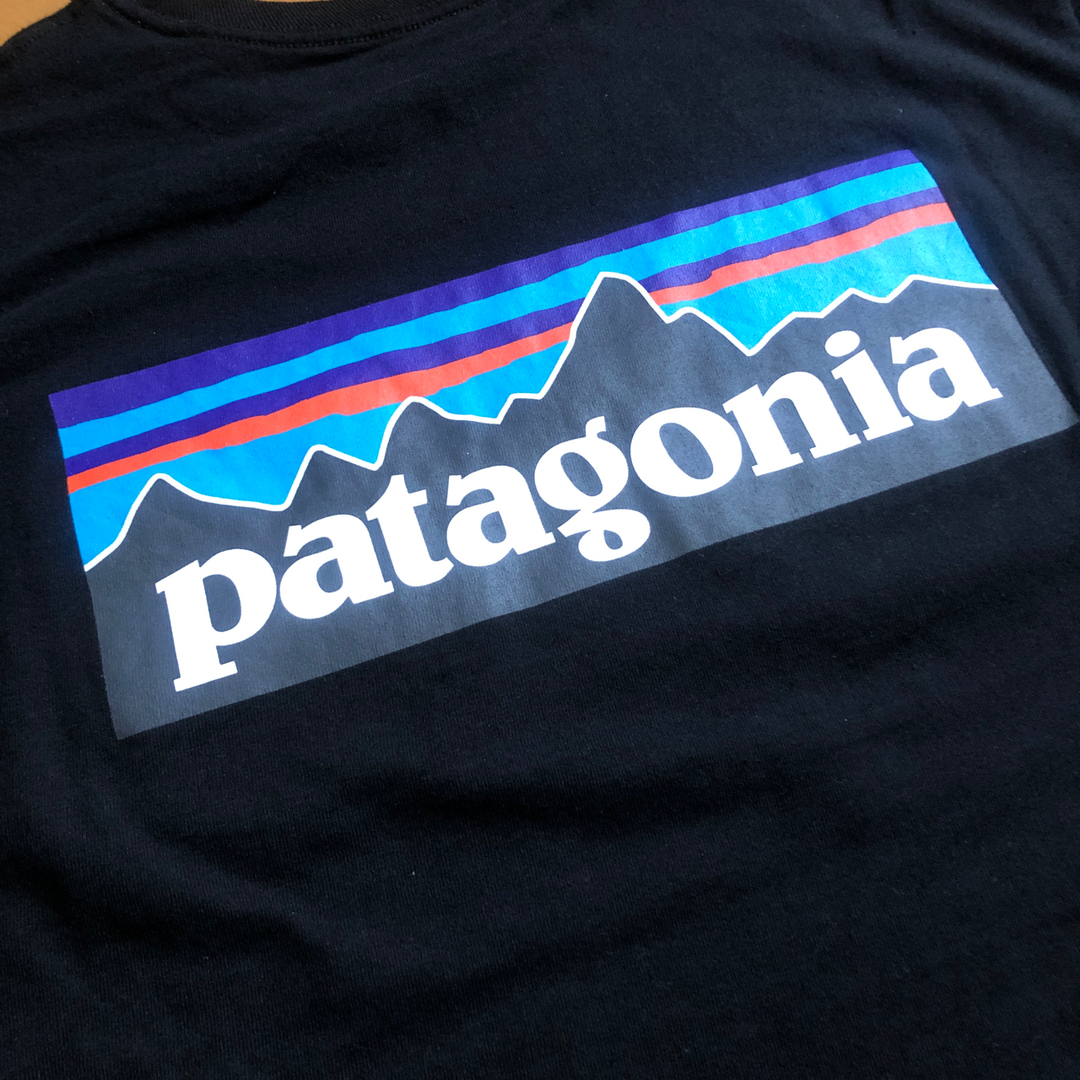 patagonia(パタゴニア)の''パタゴニア　Tシャツ　美品" メンズのトップス(Tシャツ/カットソー(半袖/袖なし))の商品写真
