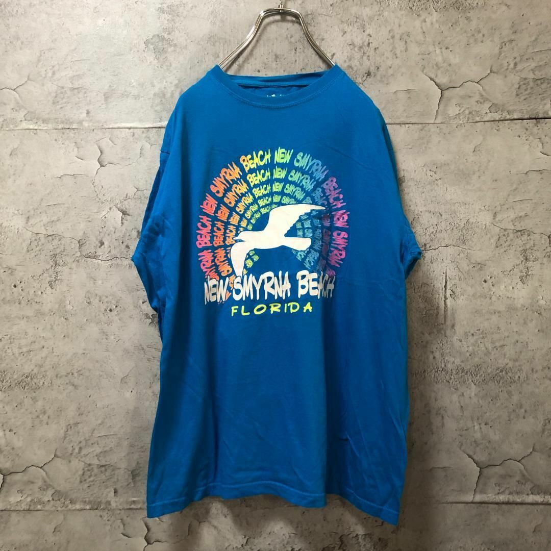 NEW SMYRNA BEACH カモメ カラフル Tシャツ メンズのトップス(Tシャツ/カットソー(半袖/袖なし))の商品写真