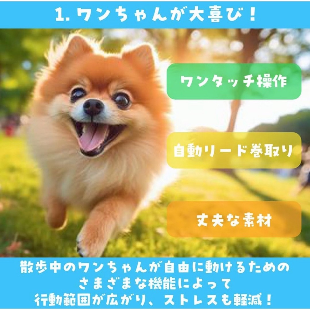 リード　犬　伸縮　バッグヤード　散歩　5m その他のペット用品(犬)の商品写真