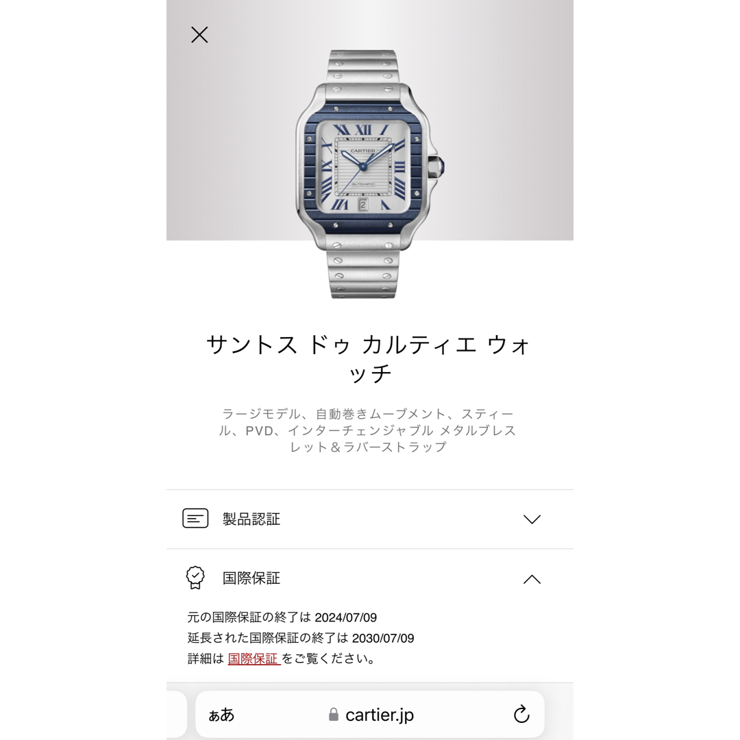 Cartier(カルティエ)のサントスドゥカルティエ ワンショット限定モデル WSSA0047 メンズの時計(腕時計(アナログ))の商品写真