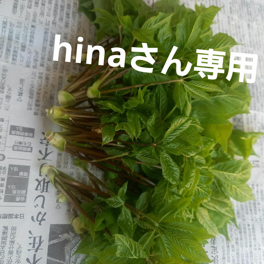 こしあぶら 食品/飲料/酒の食品(野菜)の商品写真