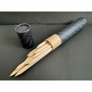 色鉛筆　12色セット　紙製自立収納ケース付き　アート用品　趣味　生涯学習(色鉛筆)