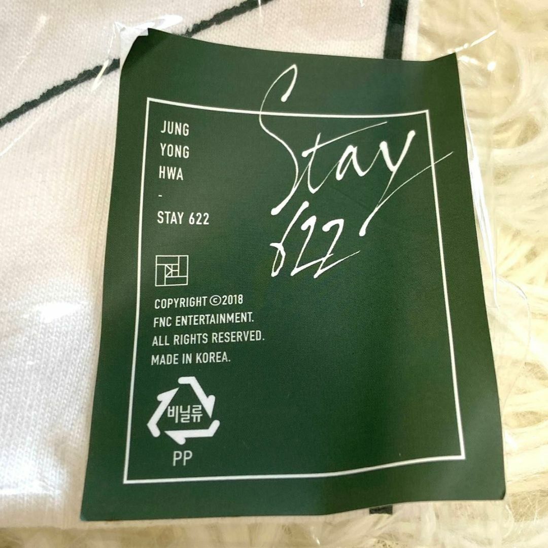  ジョン　ヨンファ　stay 622 　Tシャツ 韓国　Free　2018 エンタメ/ホビーのタレントグッズ(ミュージシャン)の商品写真
