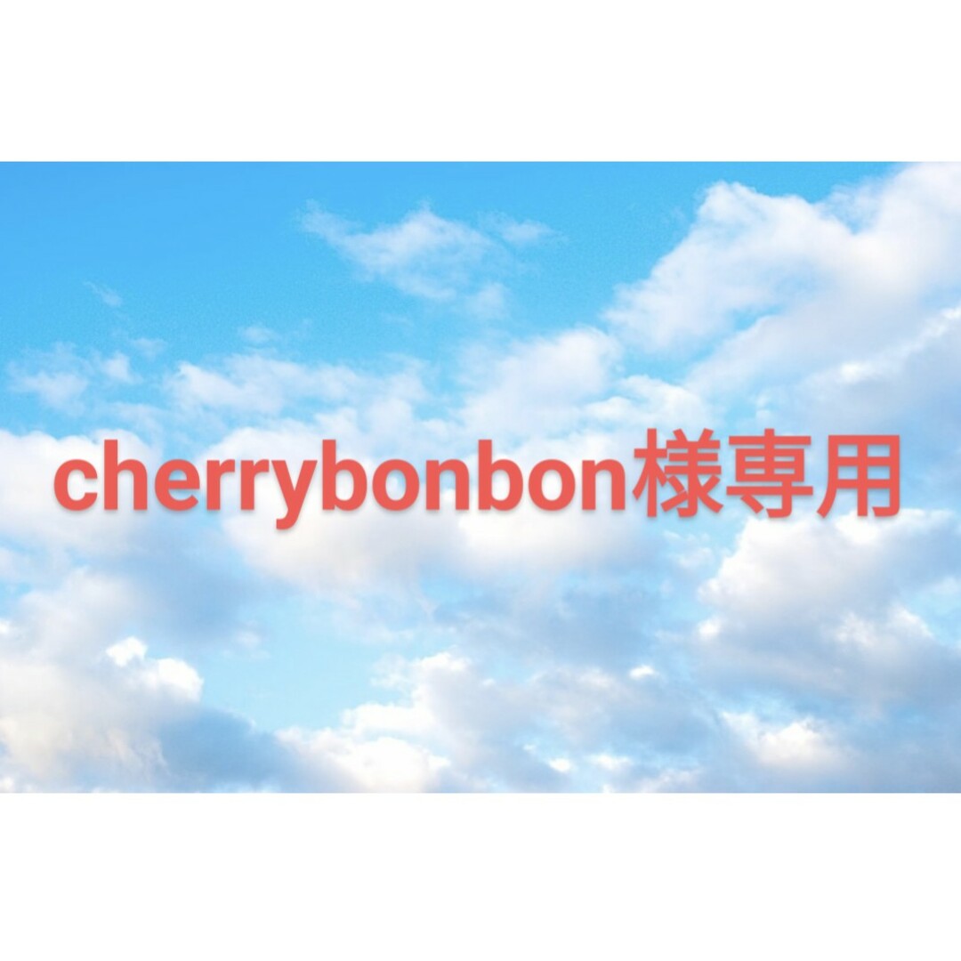 BANDAI(バンダイ)のcherrybonbon様専用 エンタメ/ホビーのフィギュア(その他)の商品写真