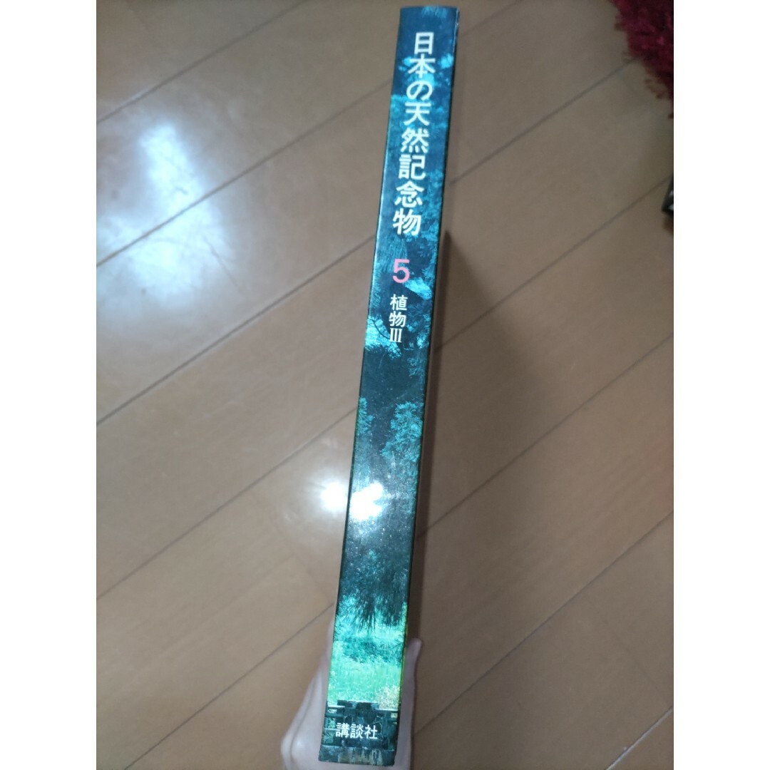 講談社(コウダンシャ)の日本の天然記念物5　植物3 エンタメ/ホビーの本(語学/参考書)の商品写真