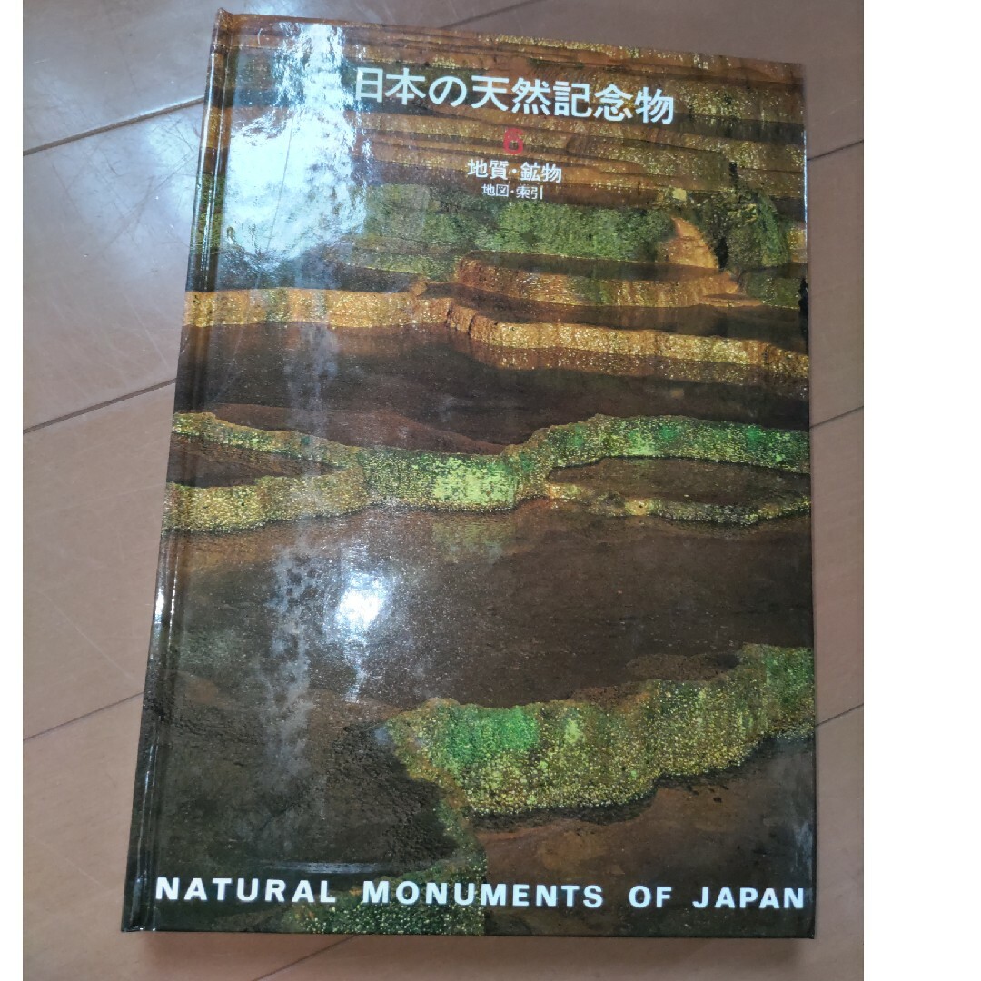 講談社(コウダンシャ)の日本の天然記念物6　地質鉱物 エンタメ/ホビーの本(語学/参考書)の商品写真