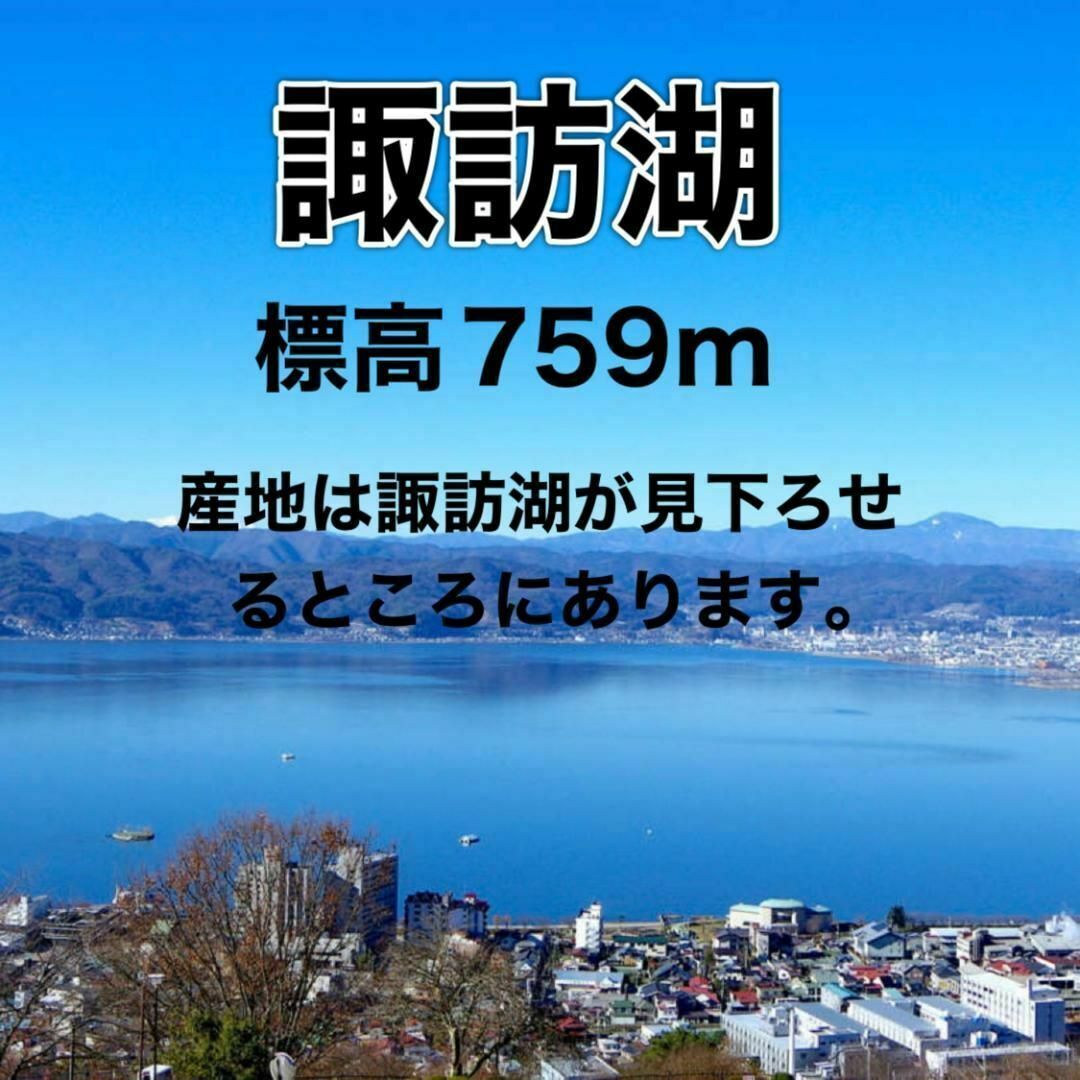 八ヶ岳産 行列ありがとまと 約850g 味濃いめ！農薬は薄め！お子様も大好き！ 食品/飲料/酒の食品(野菜)の商品写真