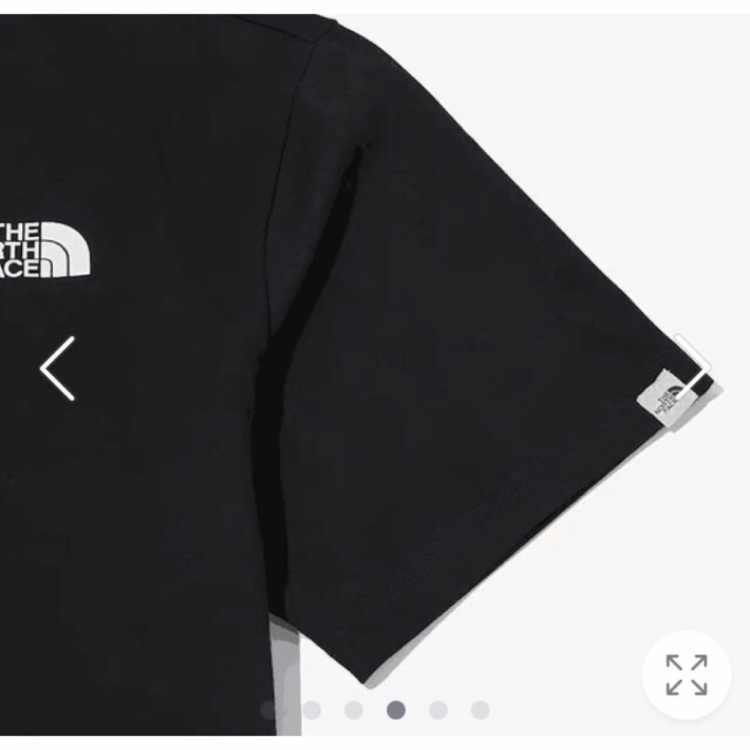 THE NORTH FACE(ザノースフェイス)のTHE NORTHFACE ノースフェイス Tシャツ 半袖 GEO-DOME メンズのトップス(Tシャツ/カットソー(半袖/袖なし))の商品写真