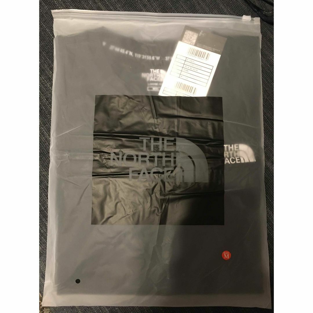 THE NORTH FACE(ザノースフェイス)のTHE NORTHFACE ノースフェイス Tシャツ 半袖 GEO-DOME メンズのトップス(Tシャツ/カットソー(半袖/袖なし))の商品写真