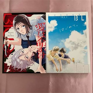 デザート　付録冊子　Ｂｌｕｅ  2冊　 新品・未読②(女性漫画)