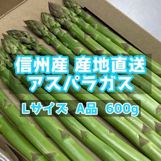 信州産　アスパラガス　Lサイズ　600g