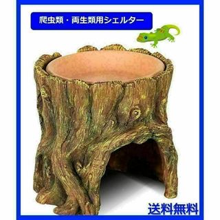 爬虫類　両生類　シェルター　切り株　隠れ家　水入れ　皿　レオパ　トカゲ(爬虫類/両生類用品)