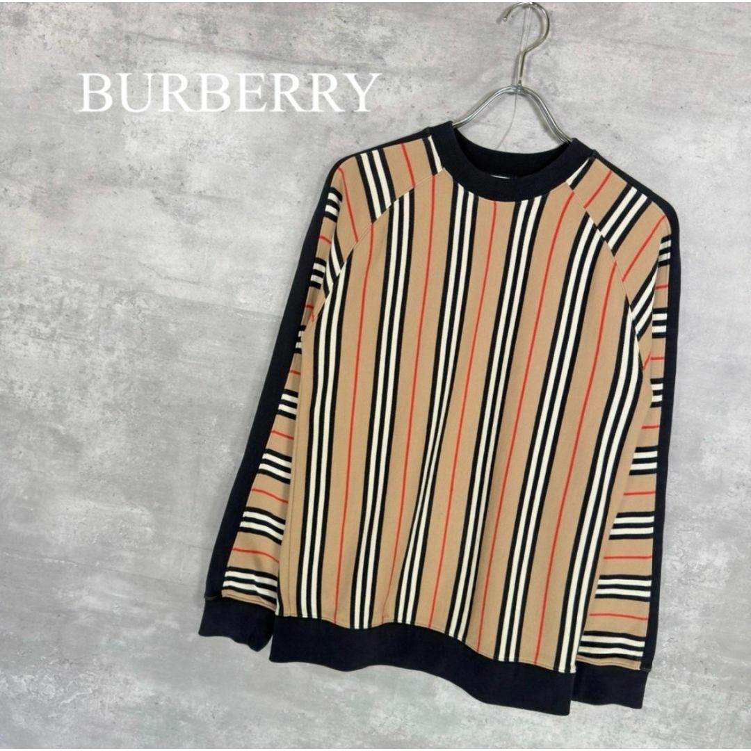 BURBERRY(バーバリー)の『BURBERRY』バーバリー (160/80) 総柄ラグランスウェット レディースのトップス(トレーナー/スウェット)の商品写真