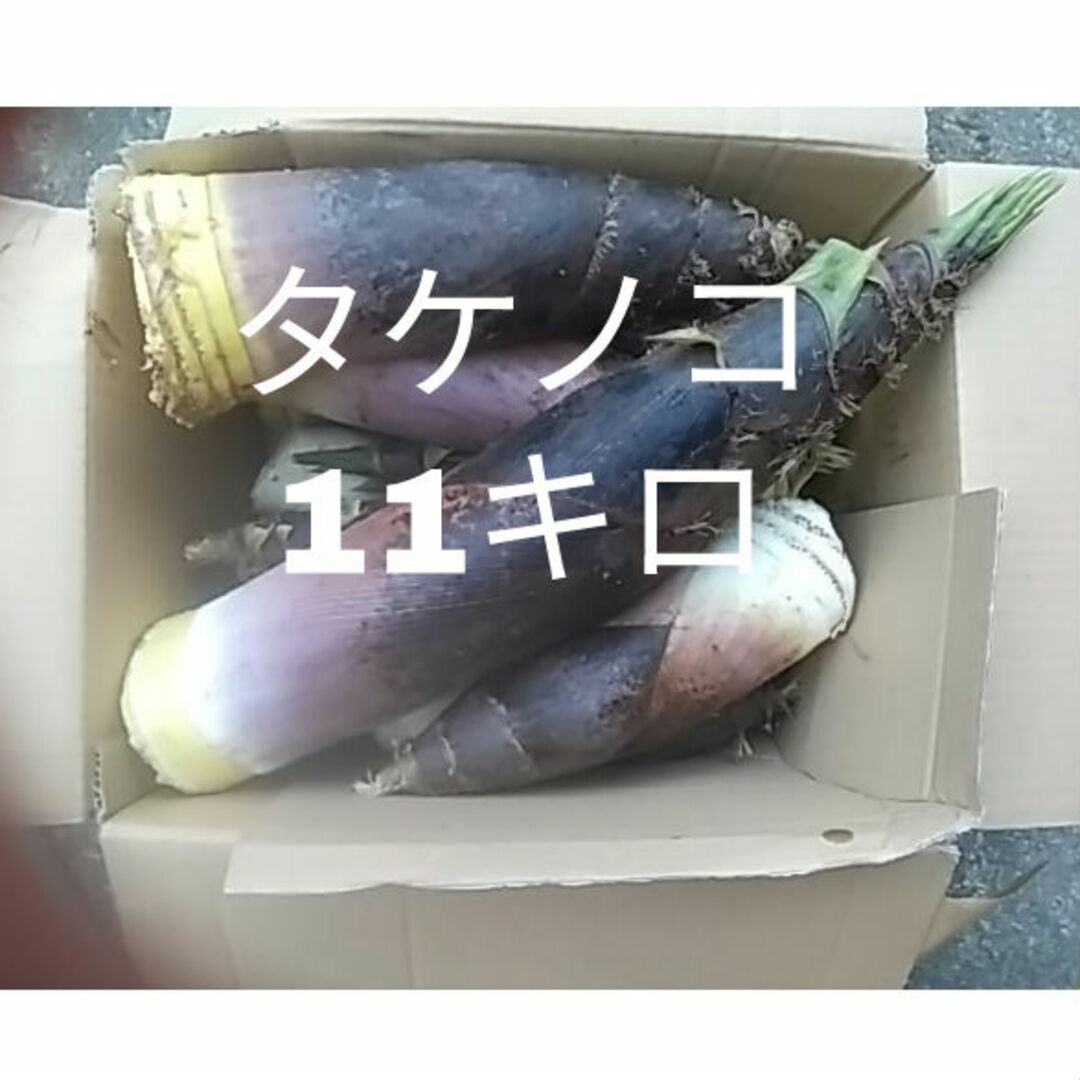 タケノコ 11キロ 詰め合わせ 竹の子 筍 食品/飲料/酒の食品(野菜)の商品写真