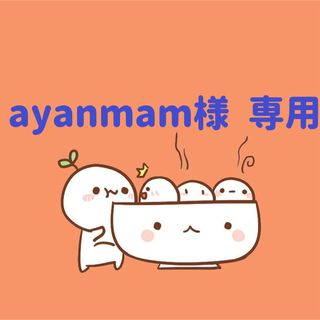 ayanmam様　専用(5/18迄)(各種パーツ)