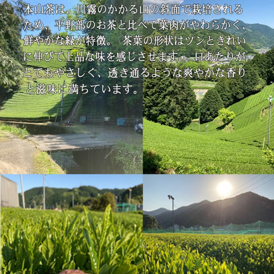 静岡茶【上煎茶】１００ｇ×３個■送料無料 かのう茶店 お茶煎茶緑茶格安お買い得 食品/飲料/酒の飲料(茶)の商品写真