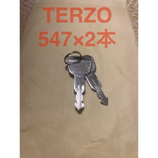 TERZO スペアキー　547×2本(その他)