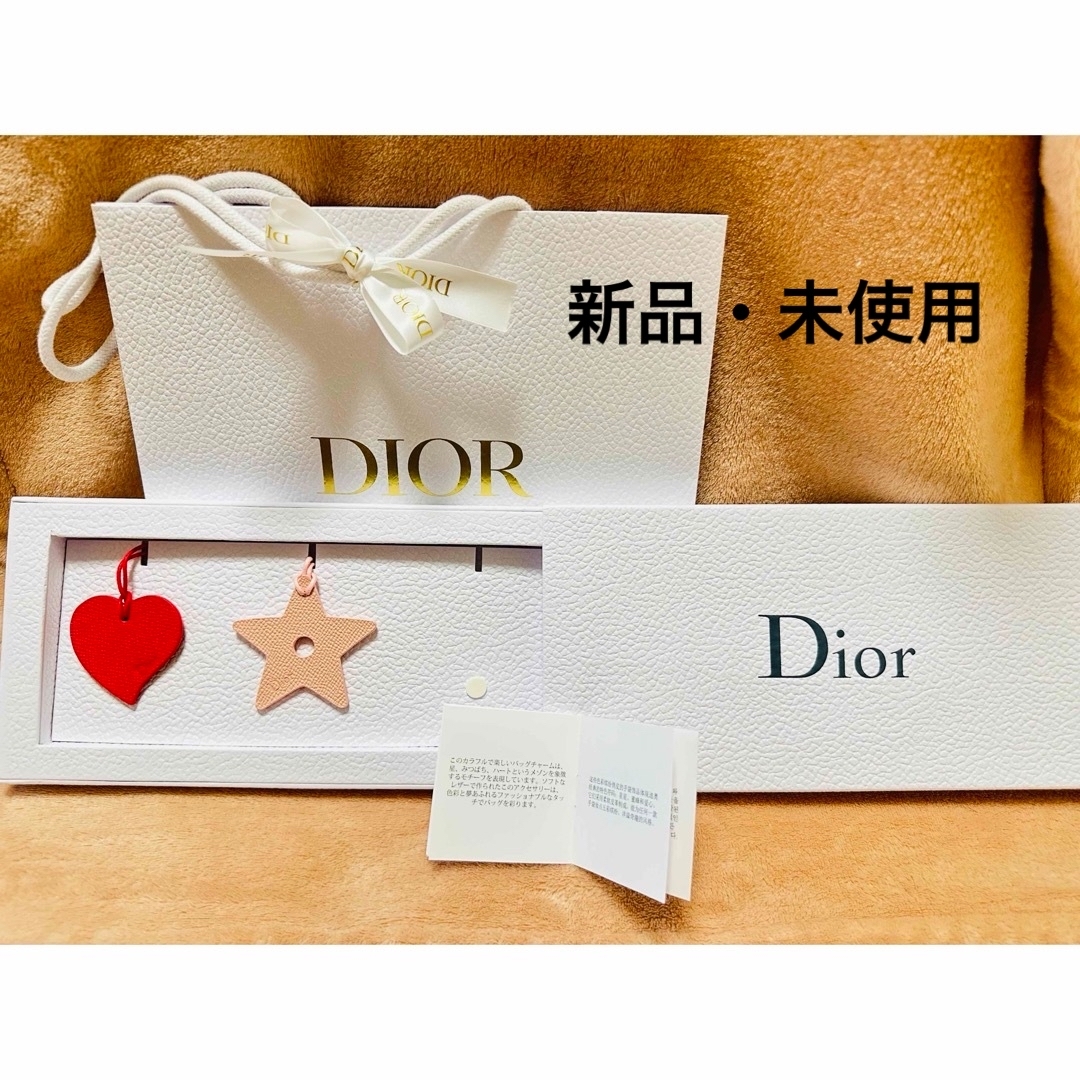 Dior(ディオール)の【新品・未使用】Dior ディオール ノベルティ・ショップ袋付き レディースのバッグ(その他)の商品写真