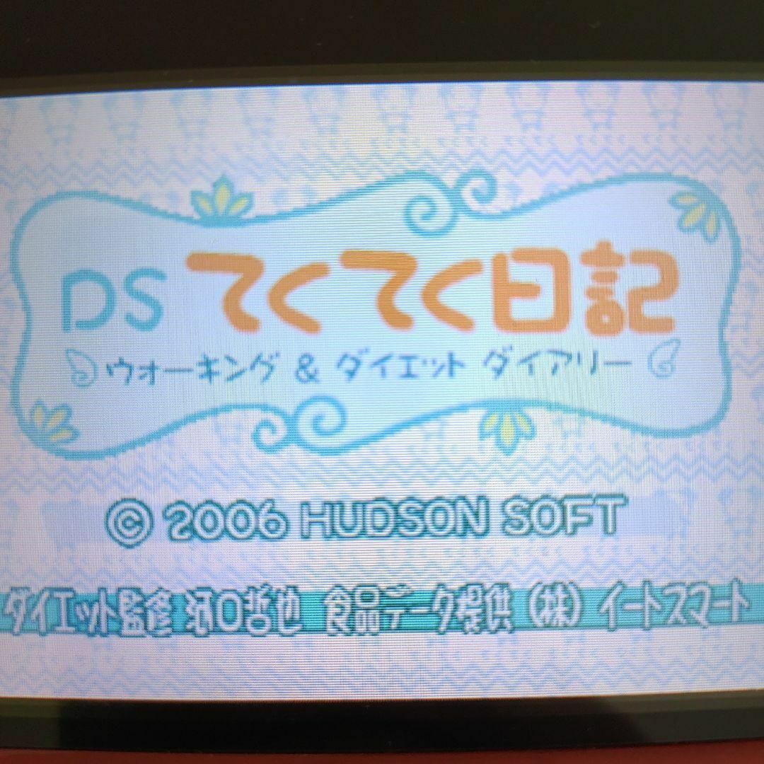 ニンテンドーDS(ニンテンドーDS)のDSてくてく日記 エンタメ/ホビーのゲームソフト/ゲーム機本体(携帯用ゲームソフト)の商品写真