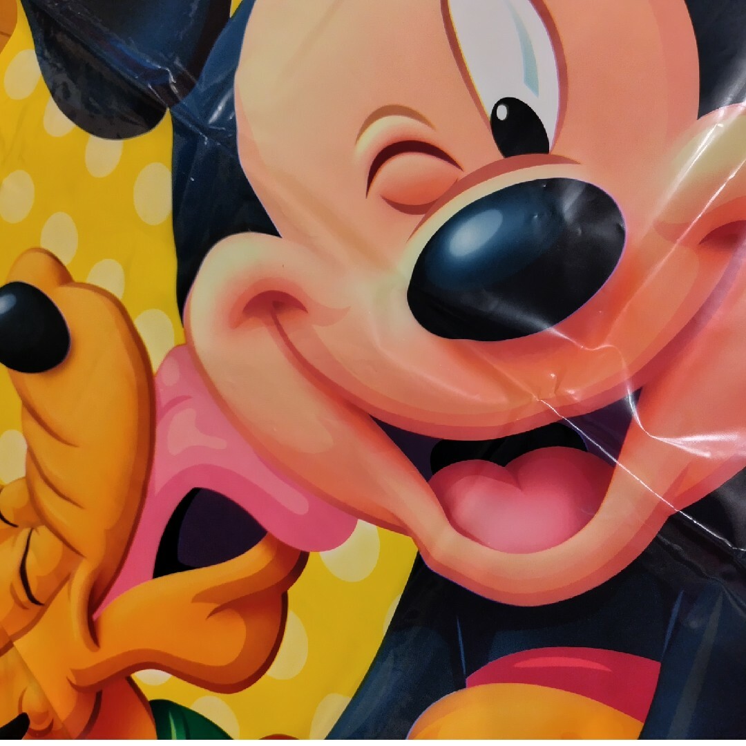 Disney(ディズニー)のディズニー袋 エンタメ/ホビーのおもちゃ/ぬいぐるみ(キャラクターグッズ)の商品写真