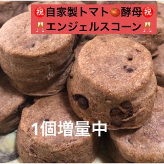 発酵菓子　トマト酵母　スコーン　エンジェルスコーン　ふわふわ　しっとり　美味しい(ダイエット食品)