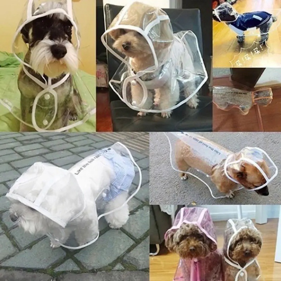 犬用レインコート クリア ホワイト 雨具 カッパ 梅雨  Mサイズ その他のペット用品(犬)の商品写真