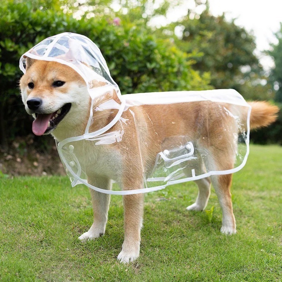 犬用レインコート クリア ホワイト 雨具 カッパ 梅雨  Mサイズ その他のペット用品(犬)の商品写真