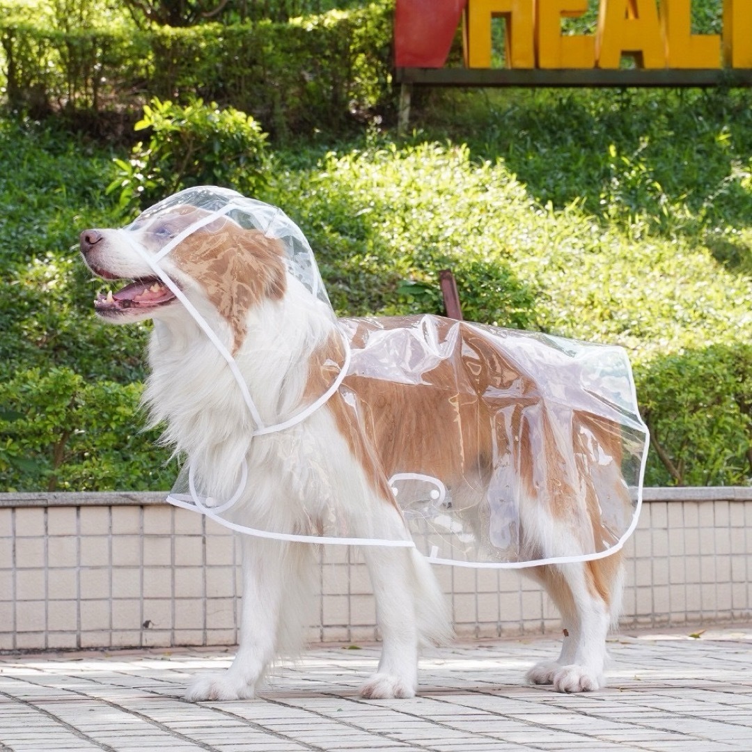 犬用レインコート クリア ホワイト 雨具 カッパ 梅雨  Mサイズ その他のペット用品(犬)の商品写真