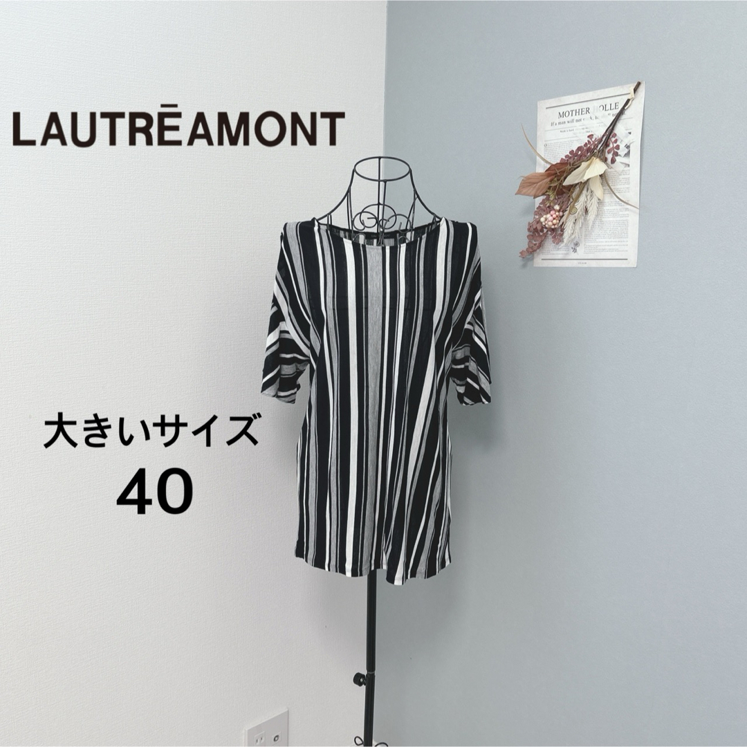 LAUTREAMONT(ロートレアモン)のロートレアモン　1度着用　ストライプ　カットソー　美品 レディースのトップス(カットソー(半袖/袖なし))の商品写真