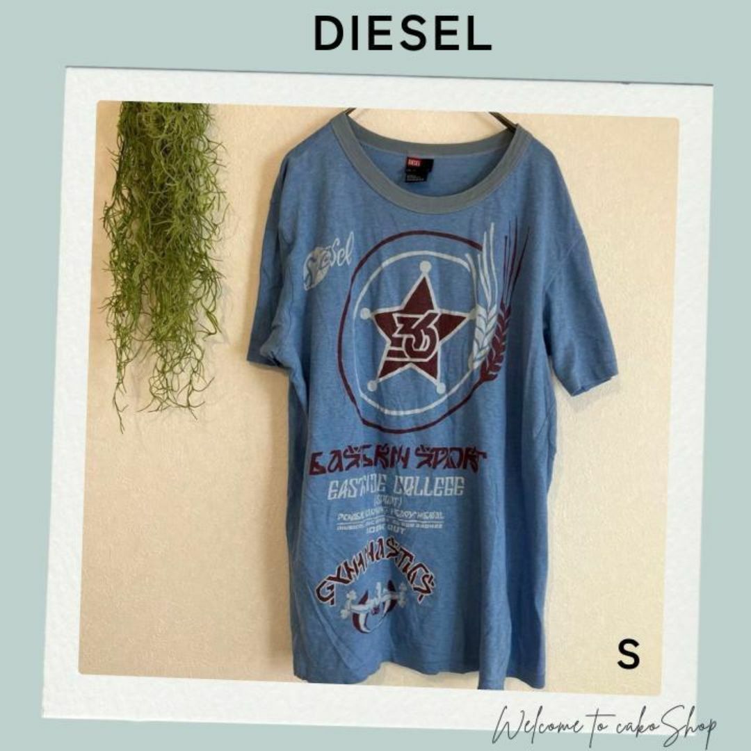 DIESEL(ディーゼル)のディーゼル　DIESEL  ブルー系　プリントTシャツS　男女兼用 メンズのトップス(Tシャツ/カットソー(半袖/袖なし))の商品写真