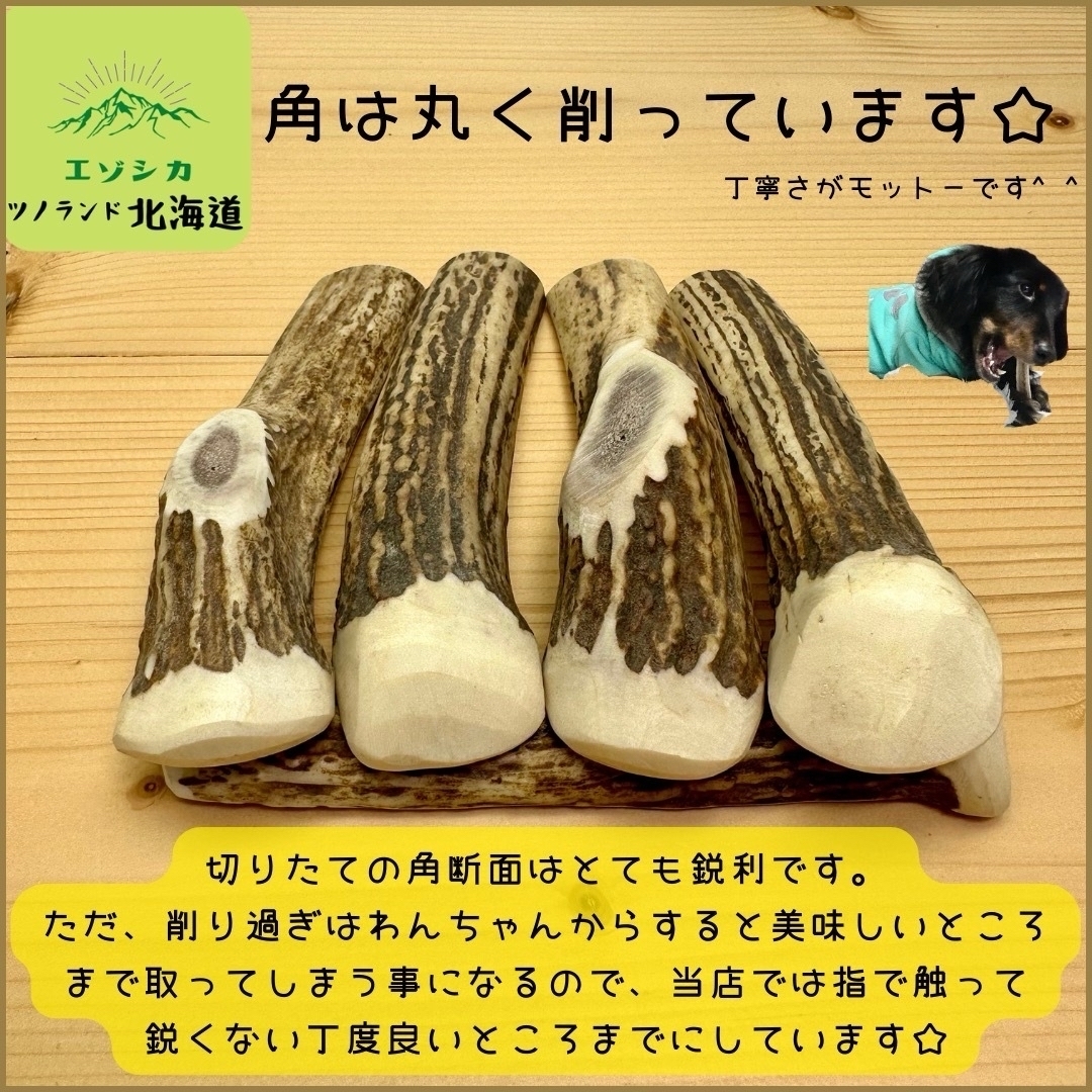 ◯鹿の角◯Sサイズ半割根本×1本◯犬のおもちゃ◯小型犬用◯ その他のペット用品(犬)の商品写真