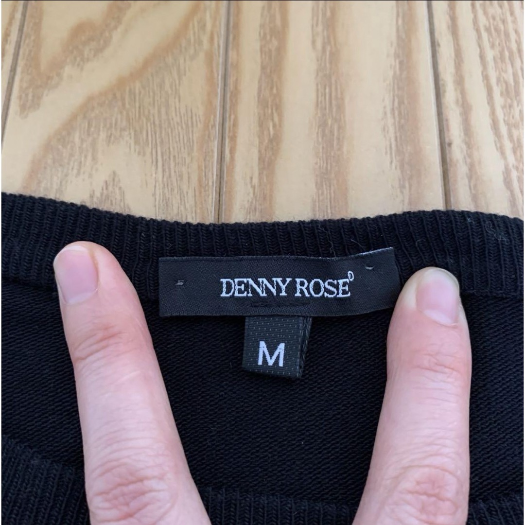 DENNYROSE(デニーローズ)のDENNY ROSE デニーローズ 薄手 星ボーダー柄 長袖ニット M レディースのトップス(ニット/セーター)の商品写真