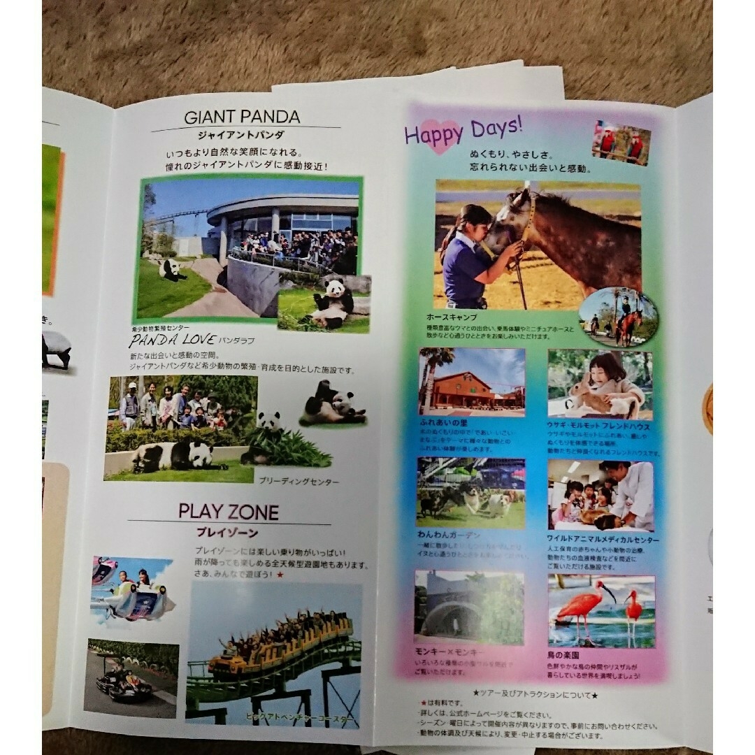 🐼アドベンチャーワールド インフォメーション リーフレット × 5部 エンタメ/ホビーの本(地図/旅行ガイド)の商品写真
