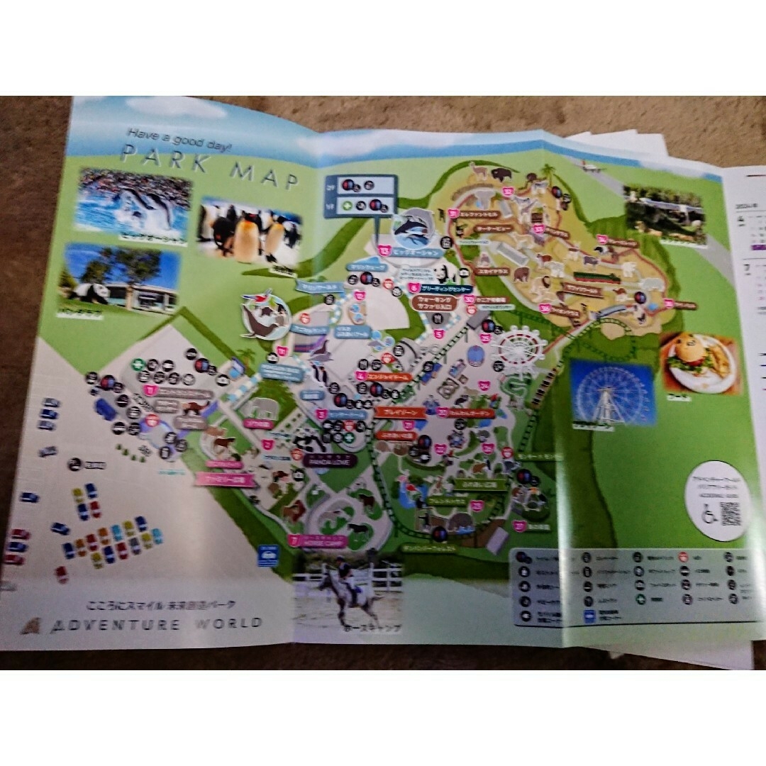 🐼アドベンチャーワールド インフォメーション リーフレット × 5部 エンタメ/ホビーの本(地図/旅行ガイド)の商品写真