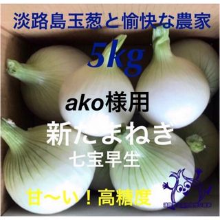 ako様用 淡路島産 新玉ねぎ 七宝早生 5kg 高糖度 新玉ねぎ 新 たまねぎ(野菜)