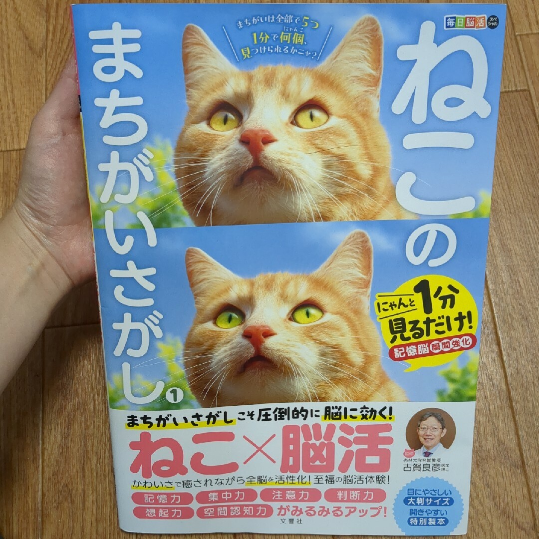 毎日脳活スペシャル　ねこのまちがいさがし エンタメ/ホビーの本(趣味/スポーツ/実用)の商品写真