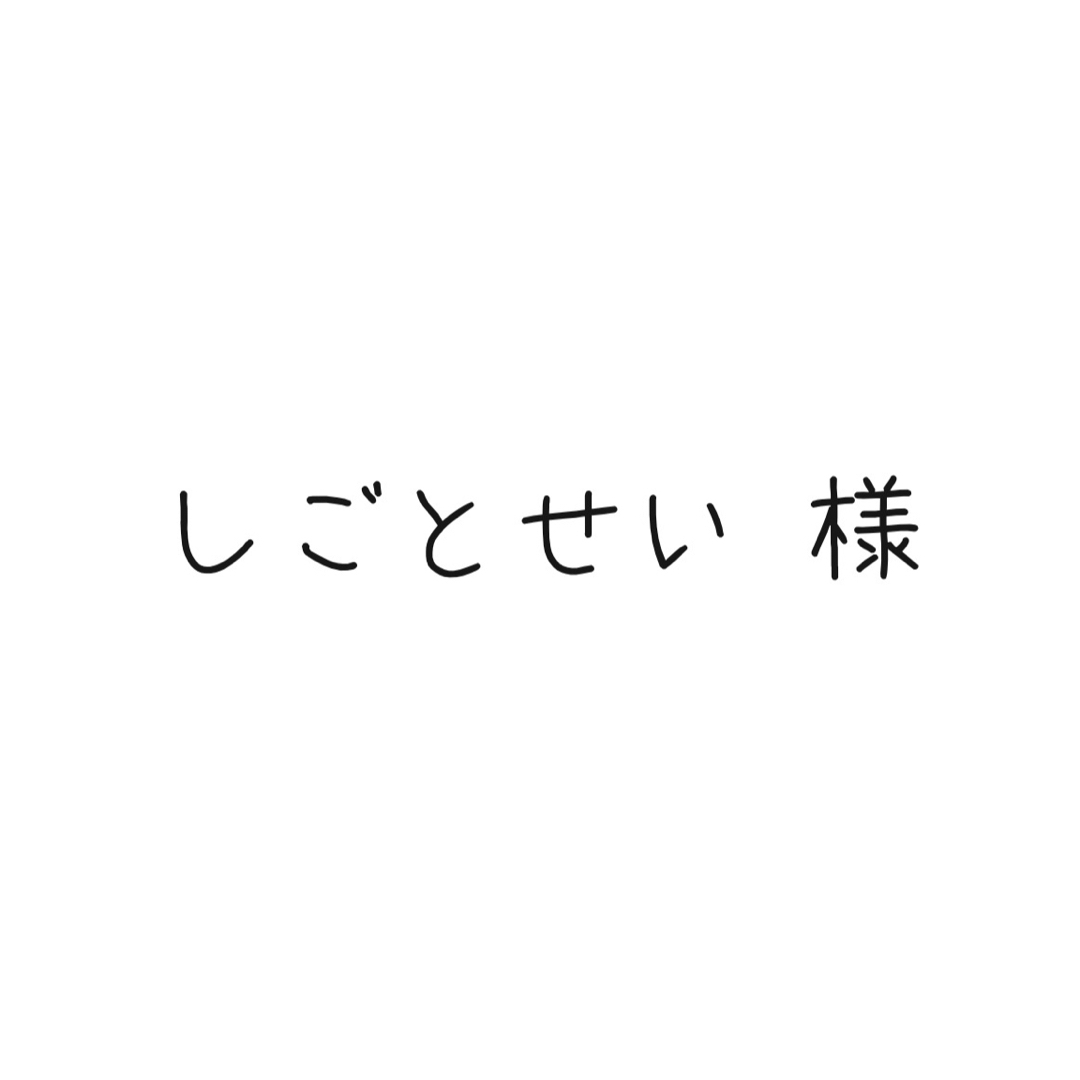 しごとせい様　専用ページ その他のその他(その他)の商品写真