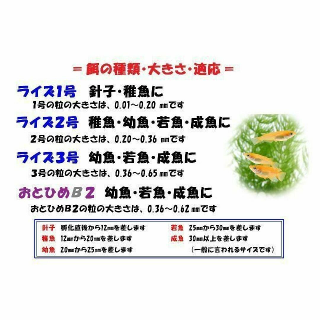 めだか の 餌 エサ◇おとひめB２ ２００ｇ◇ メダカ の えさ☆喰い付き抜群② その他のペット用品(アクアリウム)の商品写真