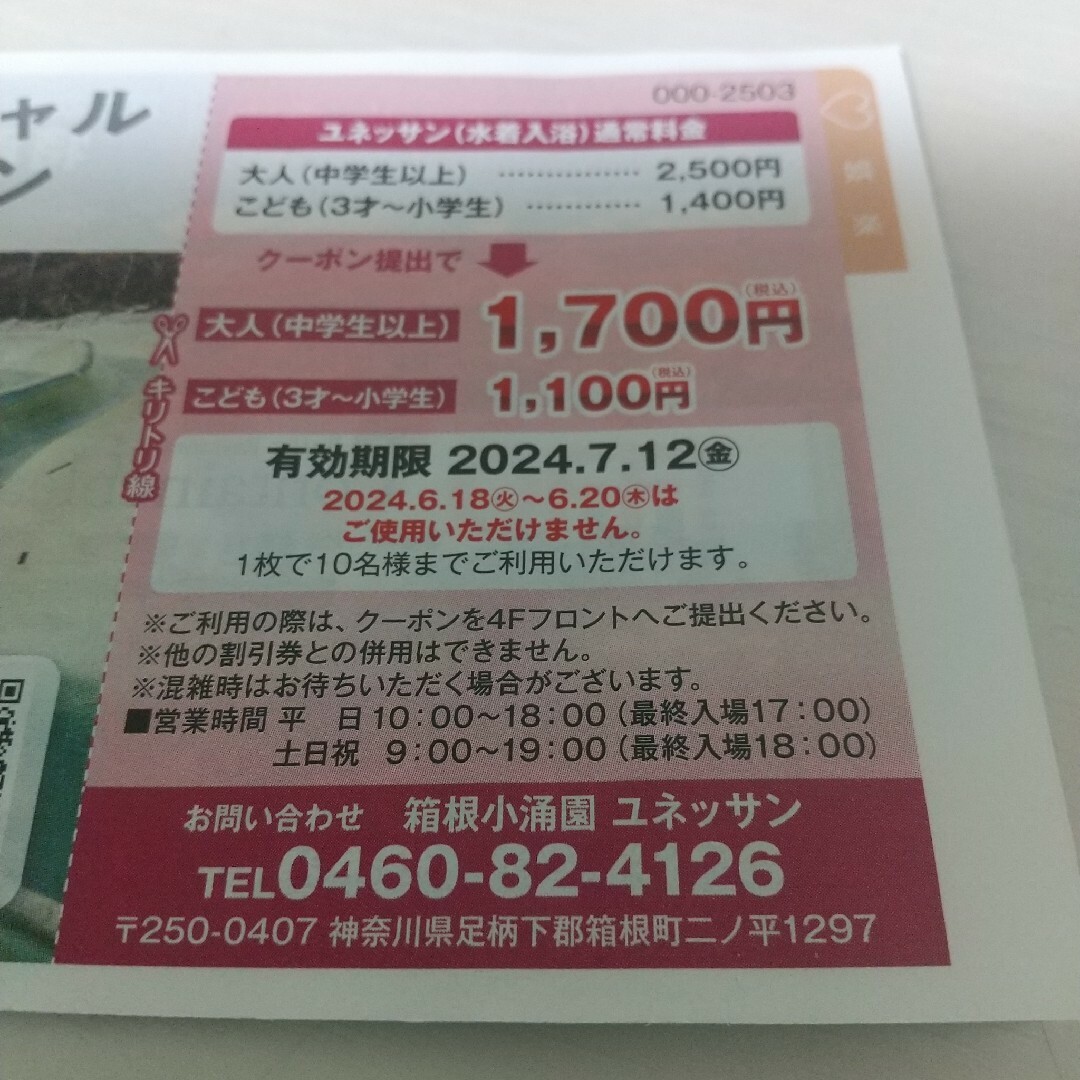ユネッサンリゾート スペシャルクーポン チケットの優待券/割引券(その他)の商品写真